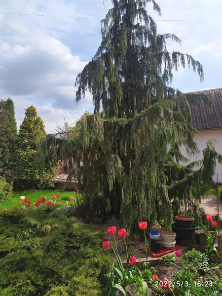 Apartment приватний будинок з каміном, у центрі міста , вул стрєльцова, 21
