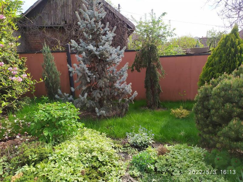 Apartment приватний будинок з каміном, у центрі міста , вул стрєльцова, 21