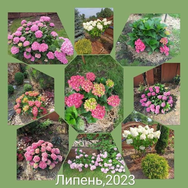 приватний будинок з каміном, у центрі міста , вул стрєльцова, 21 * Kryvyi Rih