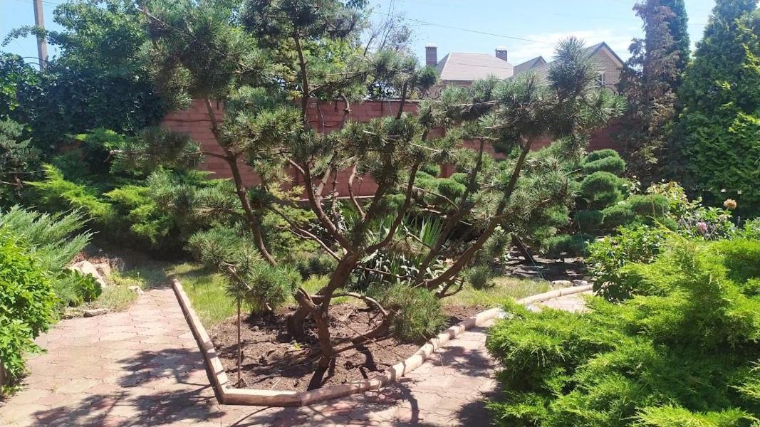 приватний будинок з каміном, у центрі міста , вул стрєльцова, 21 * Kryvyi Rih