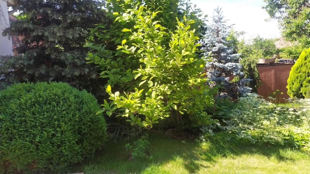 приватний будинок з каміном, у центрі міста , вул стрєльцова, 21 Apartment