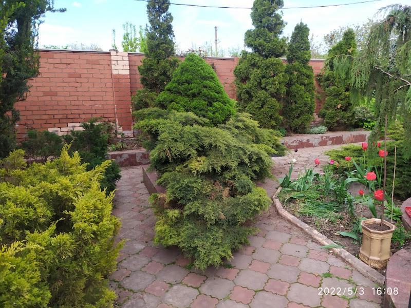 приватний будинок з каміном, у центрі міста , вул стрєльцова, 21 Apartment *