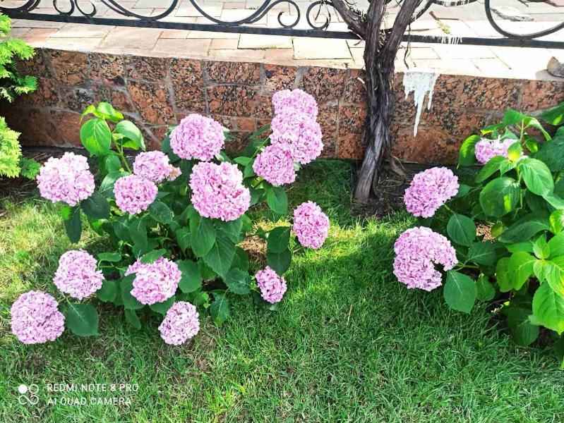 приватний будинок з каміном, у центрі міста , вул стрєльцова, 21 Apartment