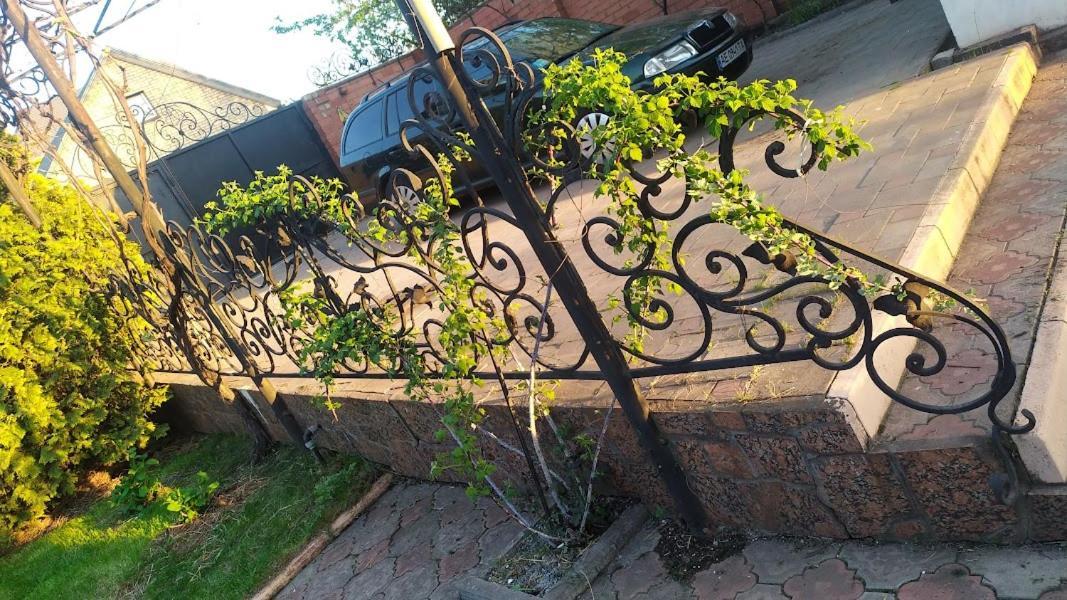 приватний будинок з каміном, у центрі міста , вул стрєльцова, 21 * Kryvyi Rih