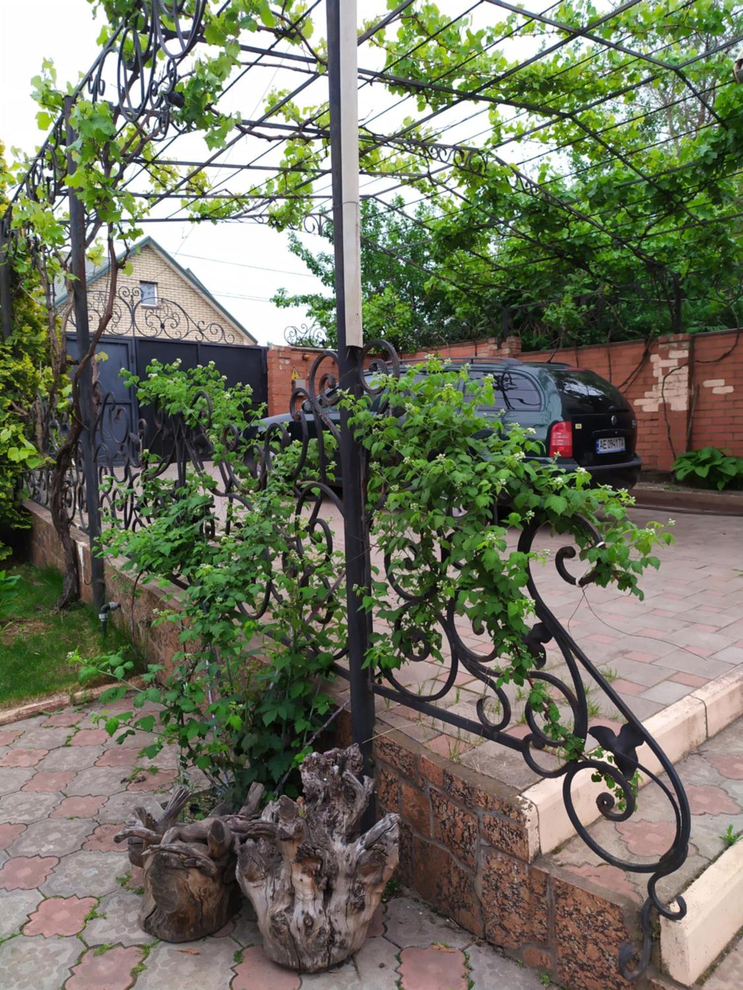 приватний будинок з каміном, у центрі міста , вул стрєльцова, 21 Kryvyi Rih